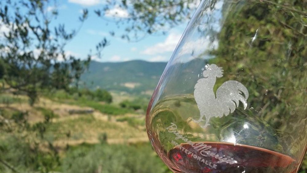 Greve Chianti Wine Tasting and Winery Tour with Light Snacks