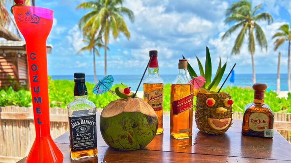 Chankanaab Park Cozumel Day Pass with Lunch and Open Bar