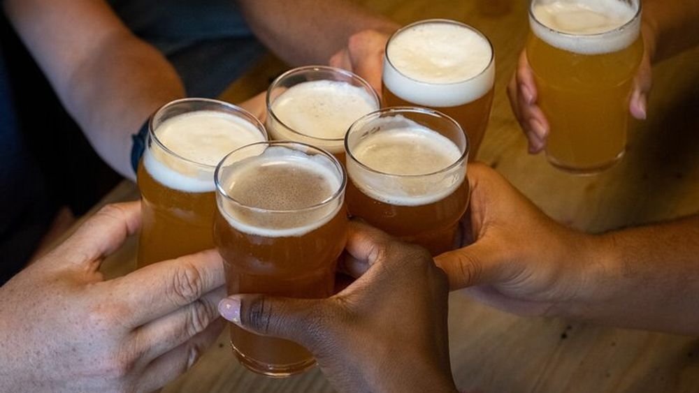 Porto Small-Group Craft Beer and Food Tasting Tour