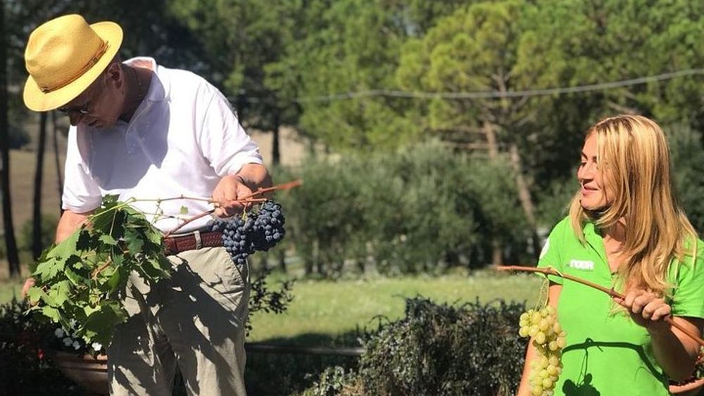Siena to Pienza and Montepulciano Full-Day Wine Tour