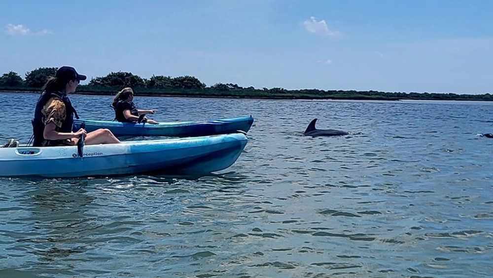 Deluxe Dolphin Kayak Tour