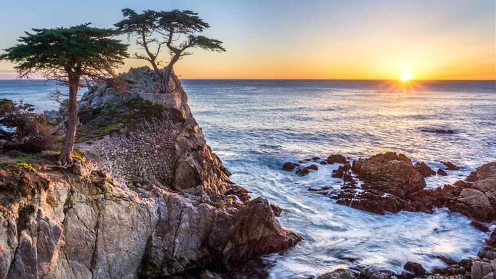 Monterey, Carmel & 17-Mile Drive Day Trip from San Francisco