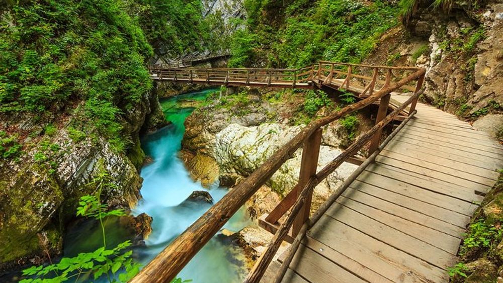From Bled: Self-Guided E-Bike Tour to Vintgar Gorge