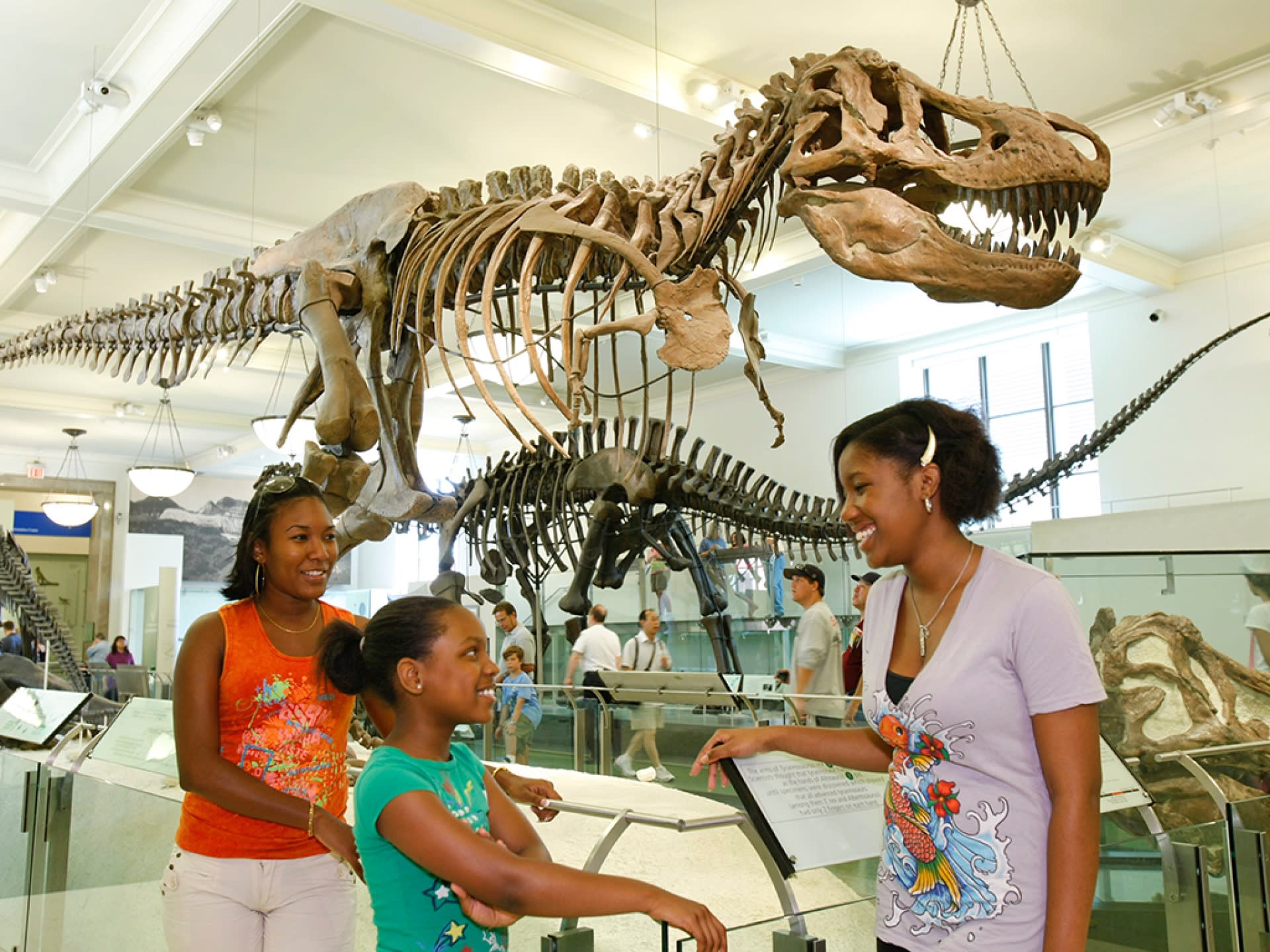American Museum of Natural History Ticket