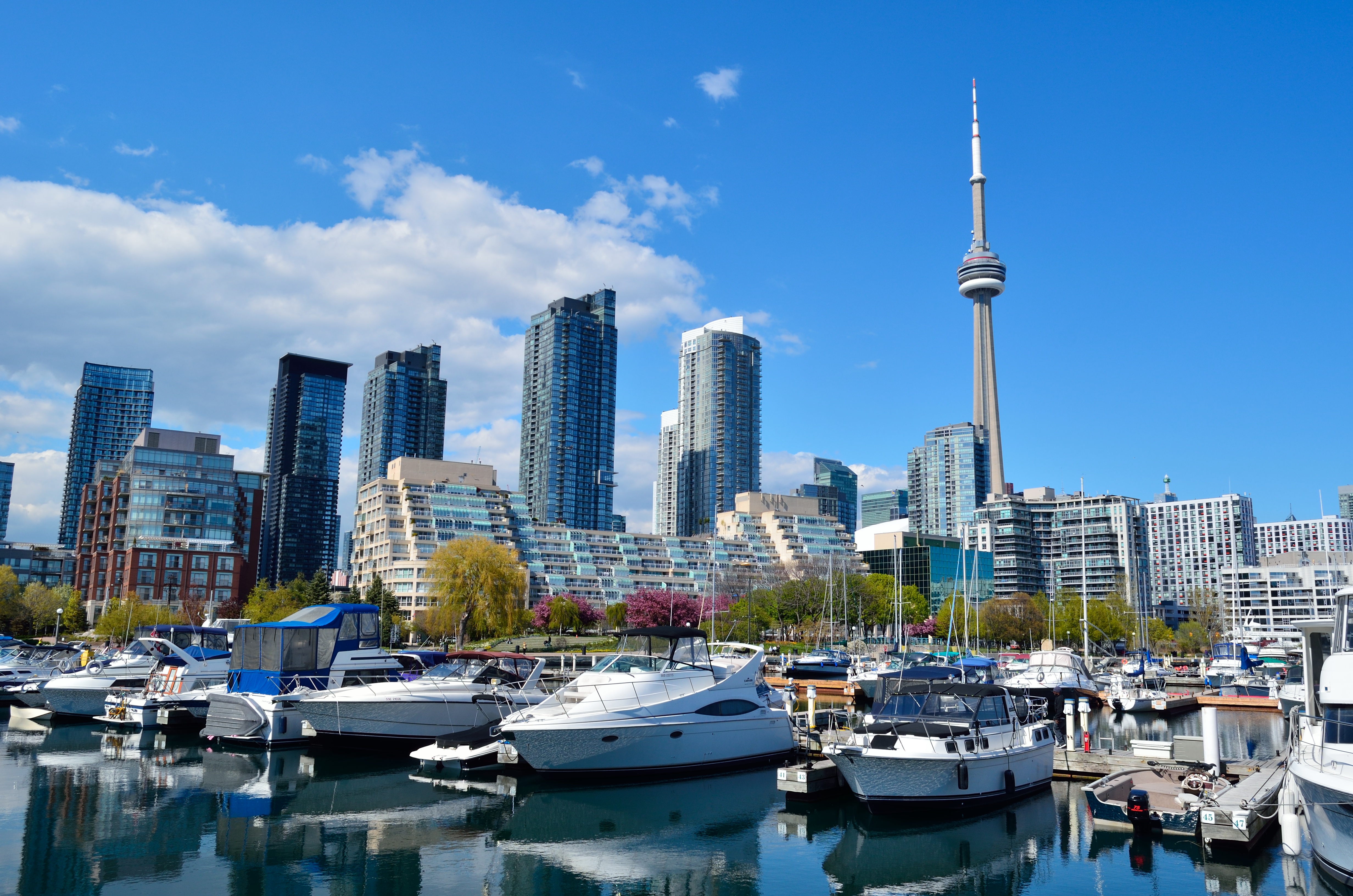 Luxury Toronto Escape: 1 Night Stay Inc Breakfast