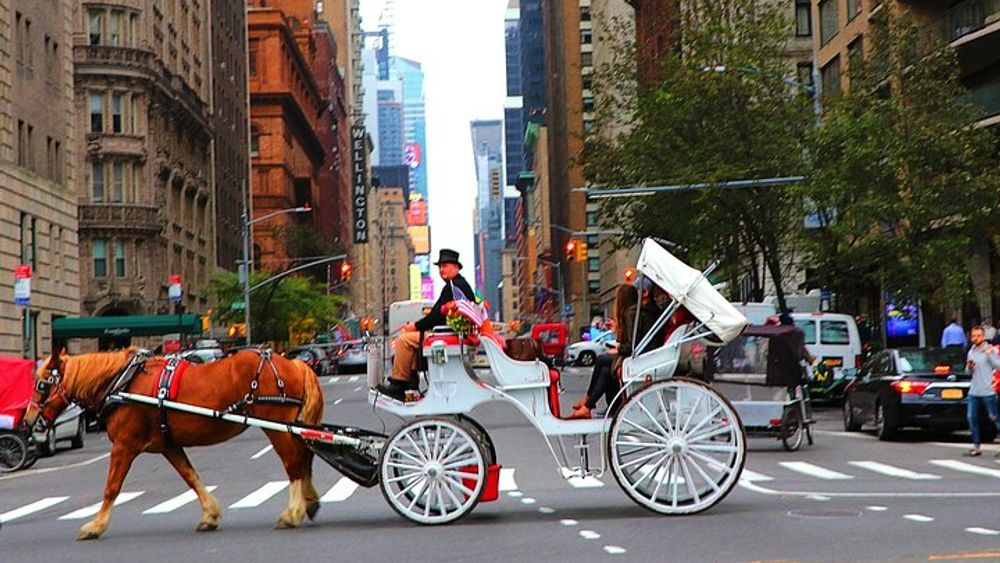NYC Horse Carriage Ride in Central Park (50 Minutes - Photo Stops)