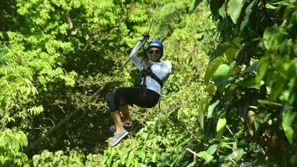 Canopy Zip Line in Go Adventure Park