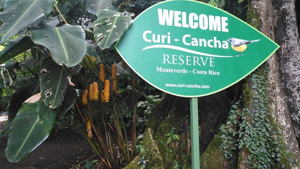 Small-Group Guided Tour of Curi Cancha Wildlife Reserve
