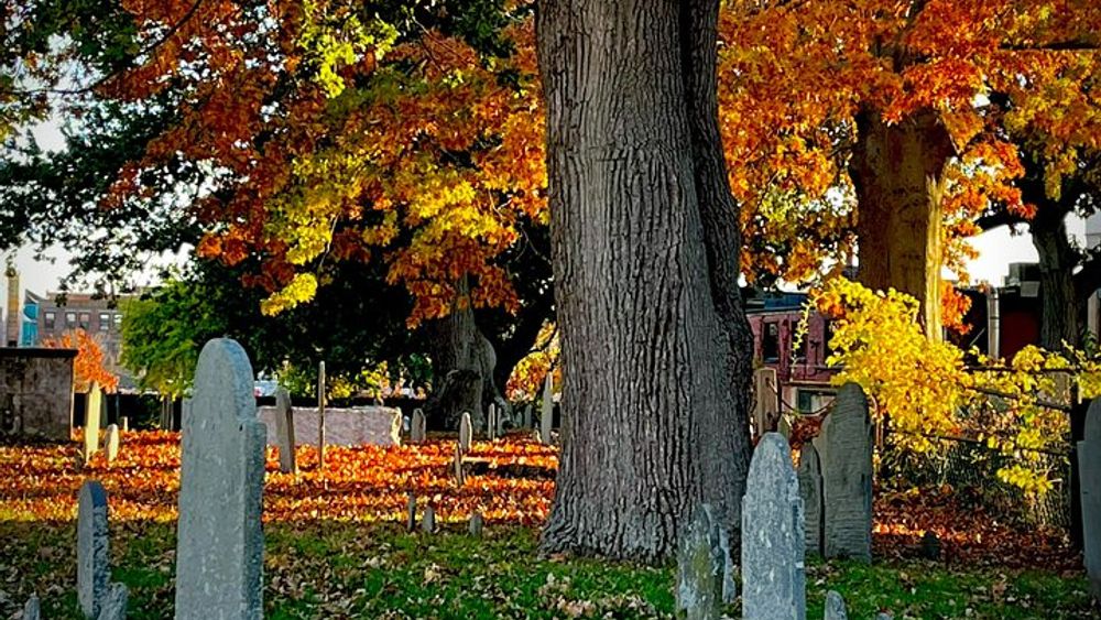 1692 Salem Day Tour