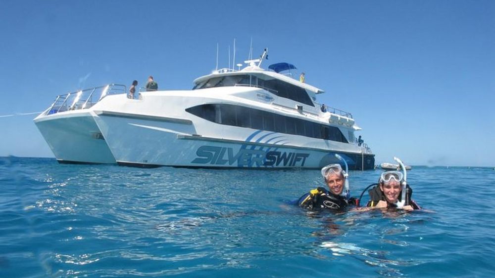 Cairns: Great Barrier Reef Snorkel and Scuba Tour with Lunch