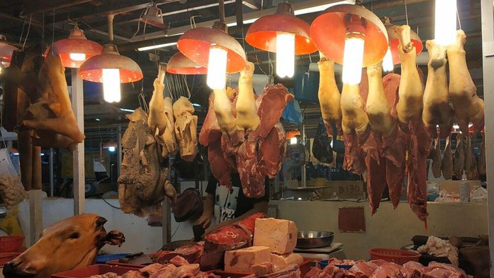 Kuala Lumpur's Nightlife Secrets and Street Food