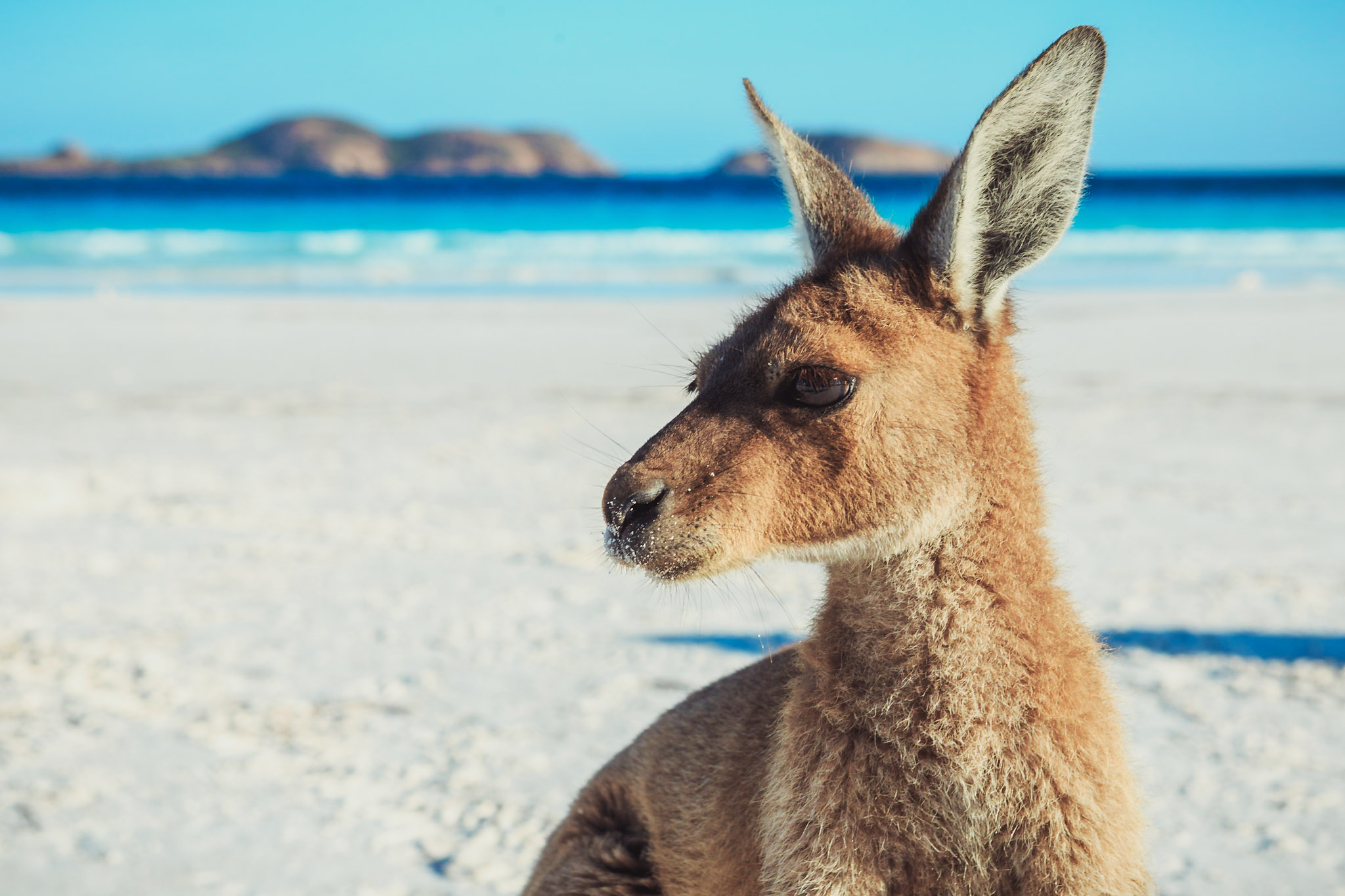 The Great Australian Wilderness Journey (9 Days Tour)