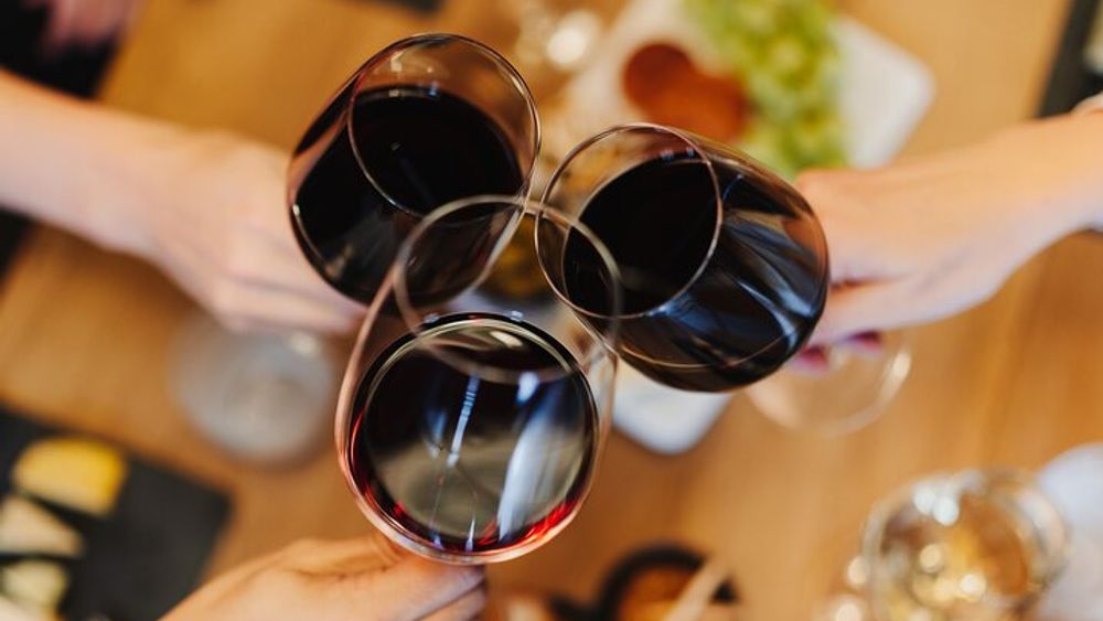 Amsterdam Cheese and Wine-Tasting Tour
