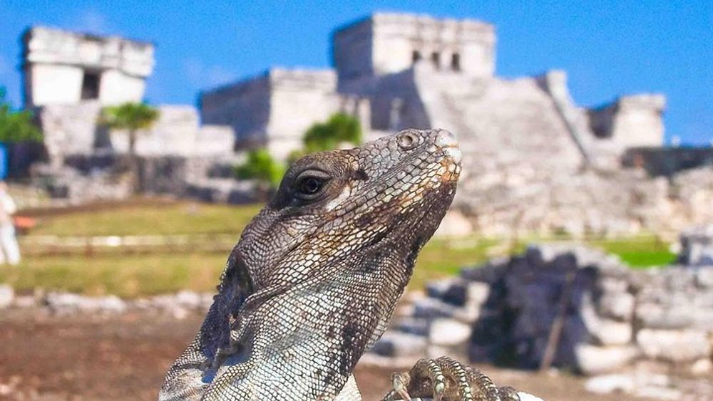 Tulum Xtreme from Cancun