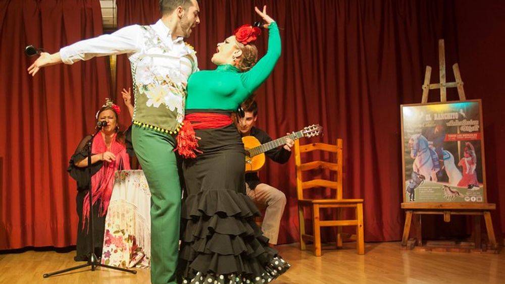 Horse and Flamenco Show in Malaga with Dinner