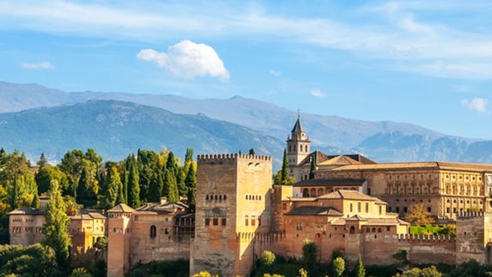 Alhambra & Nasrid Palaces: Guided Tour