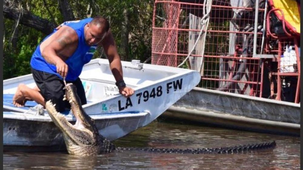Large Airboat Swamp Tour with New Orleans Pick Up