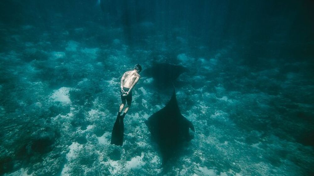 Nusa Penida Snorkeling and Free Diving Small-Group Trip