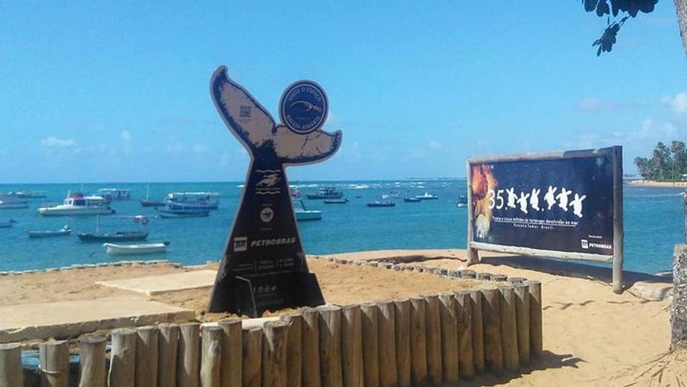 Regular Tour to Forte Beach - Leaving Salvador by Bahia Top Turismo
