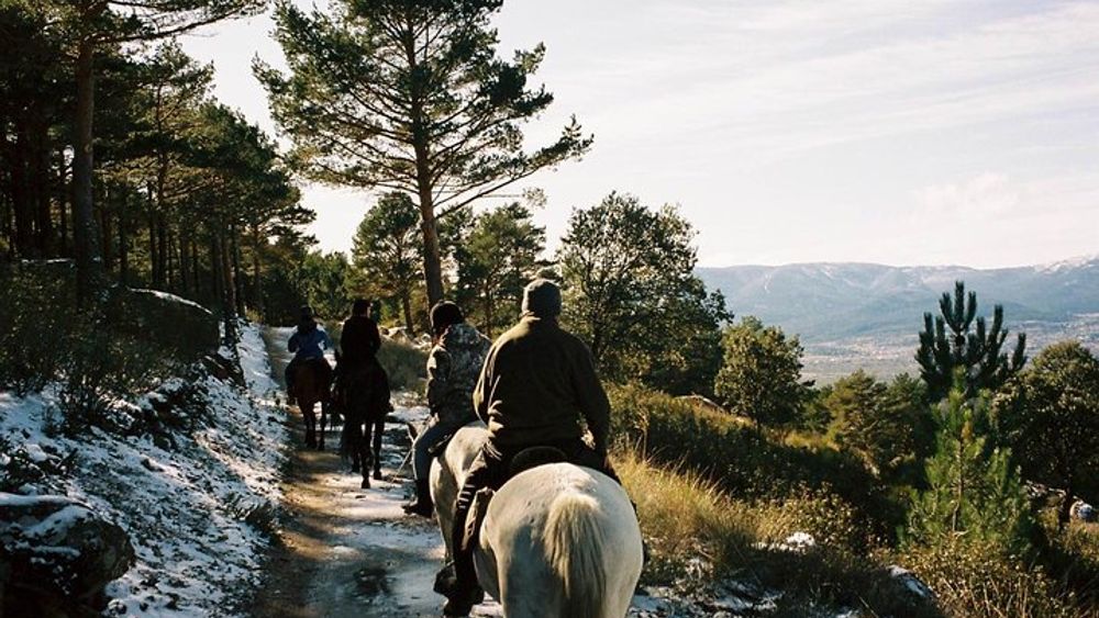 Small-Group Horseback Riding Tour of Sierra de Guadarrama