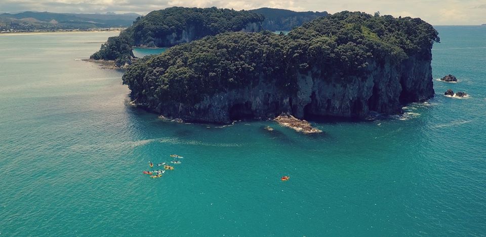 DONUT - WHENUAKURA ISLAND FREEDOM HIRE