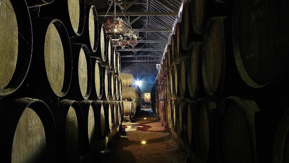 Private Wine Tasting Tour to the Setubal Wine Region from Lisbon