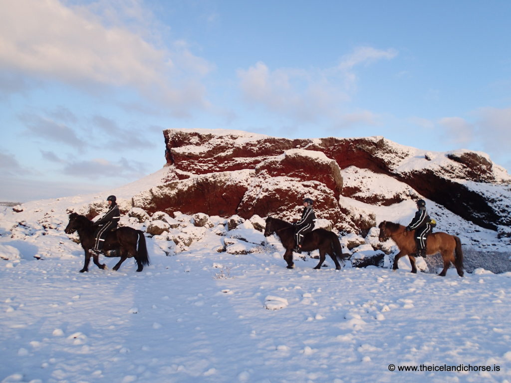 Christmas and New Year - Special Tours