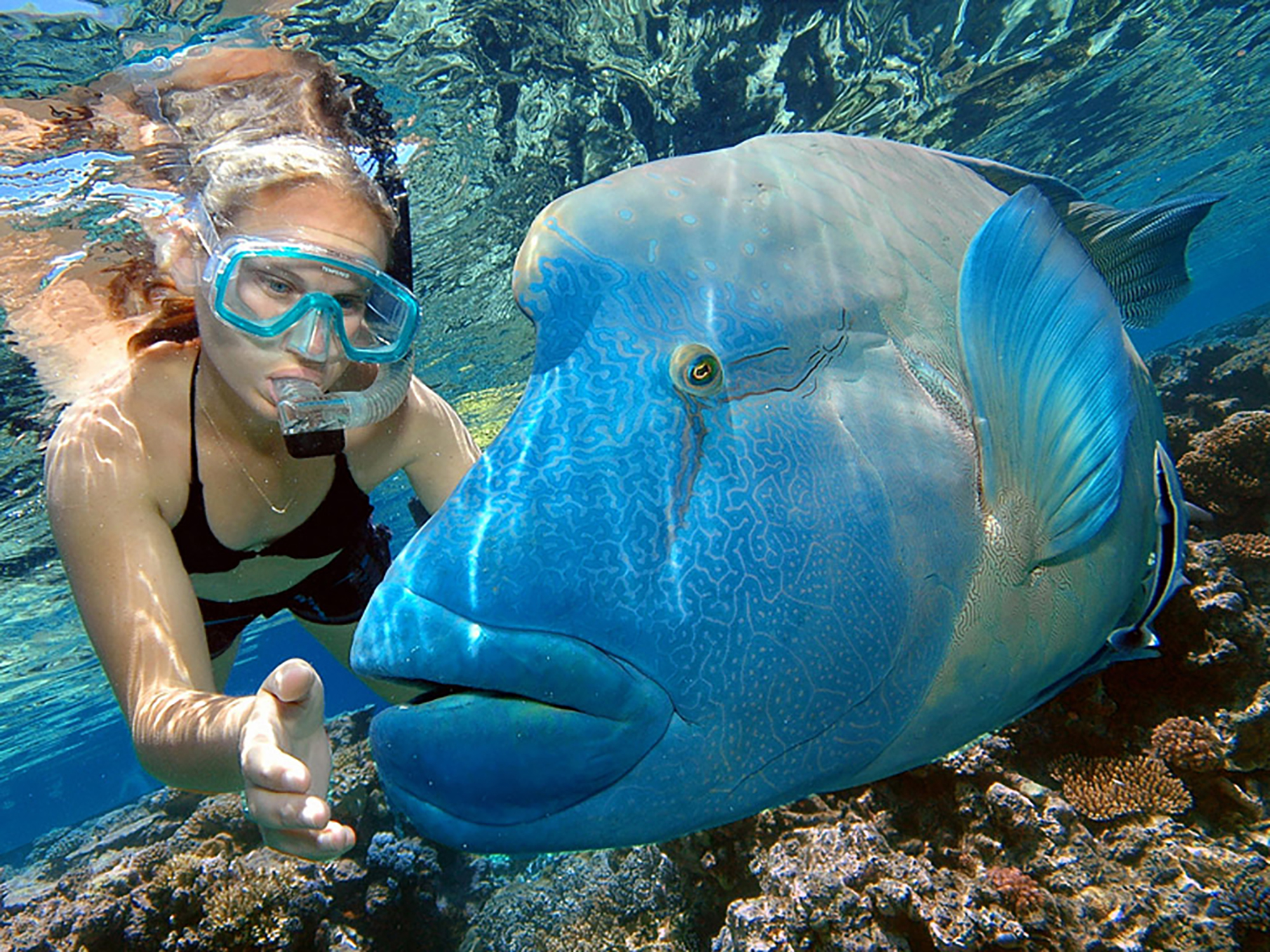 Cairns Adventure for 2: 1 Night accommodation