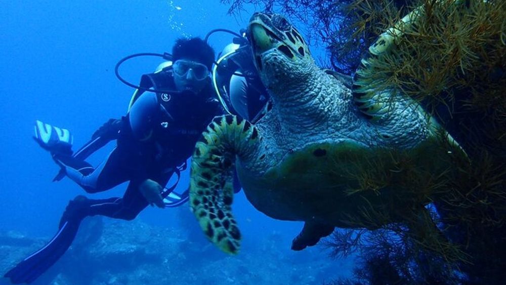 USS Liberty Shipwreck Scuba Diving at Tulamben Bali
