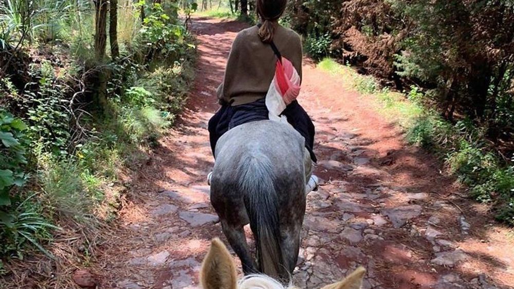 Horseback in the mountains & Food in our ranch