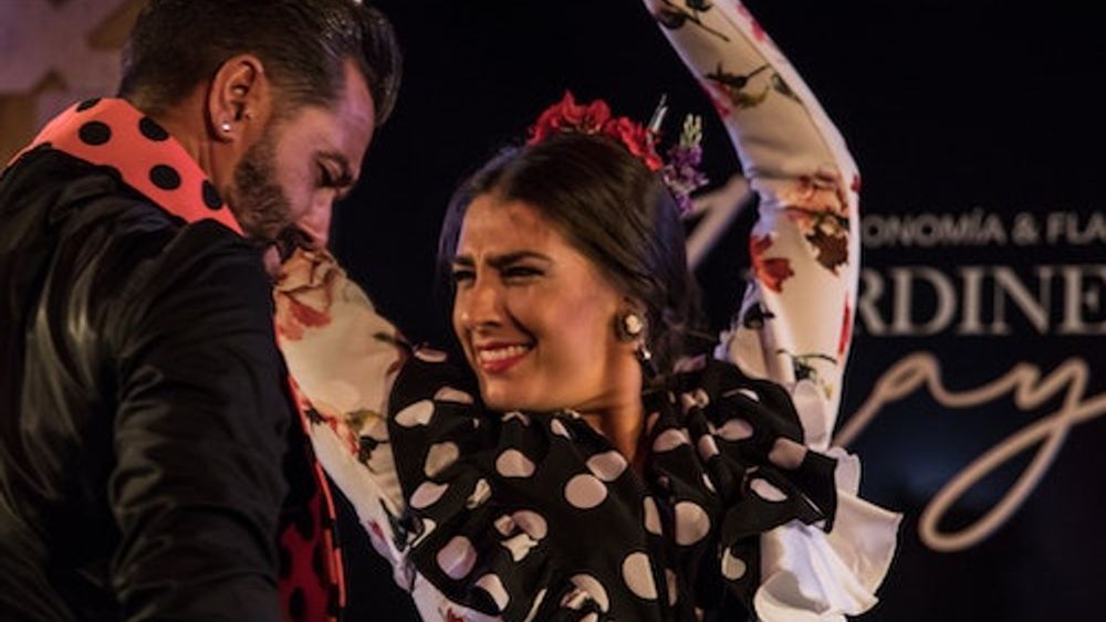 Jardines de Zoraya Granada: Flamenco Show