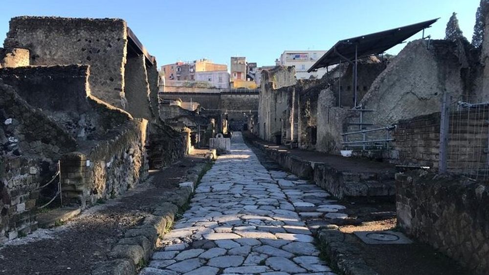 Herculaneum Small-Group Tour