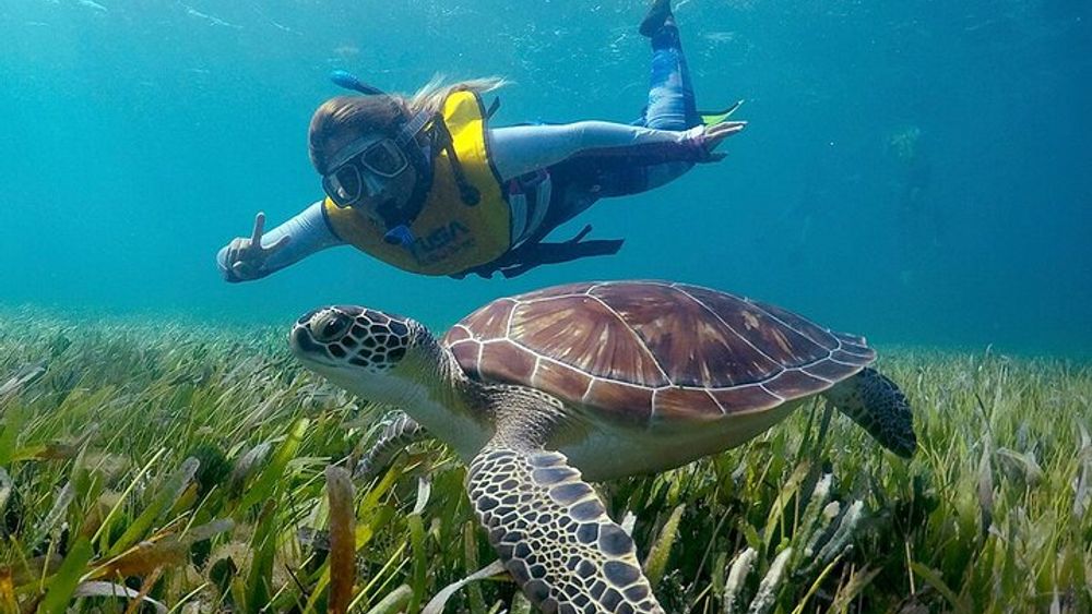 Puerto Morelos Half-Day Snorkeling, Jet Ski, Parasail Tour