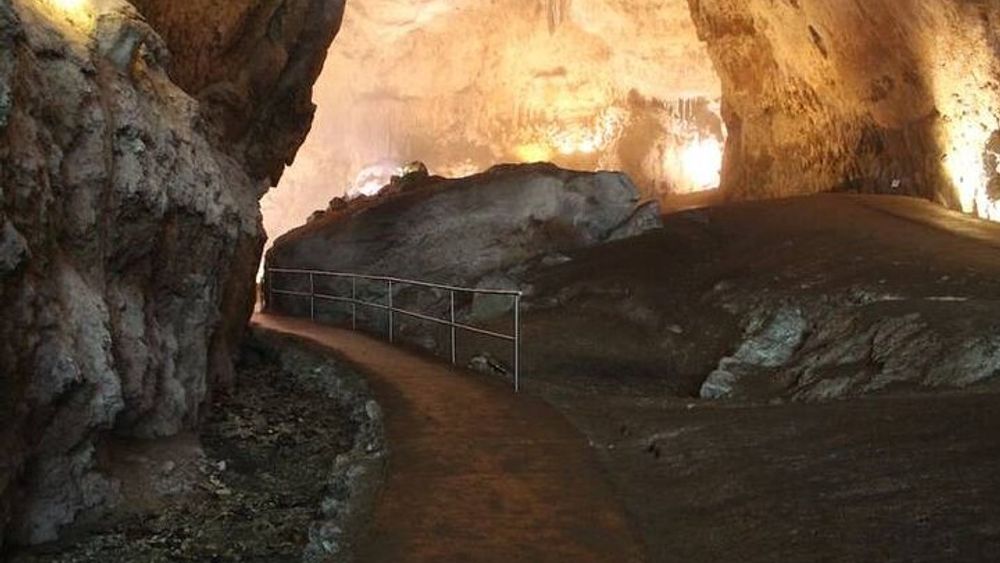 Camuy River Cave Park with Lunch From San Juan