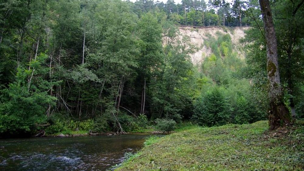 Regular Mountain Bike Tour to Pavilniai Regional Park