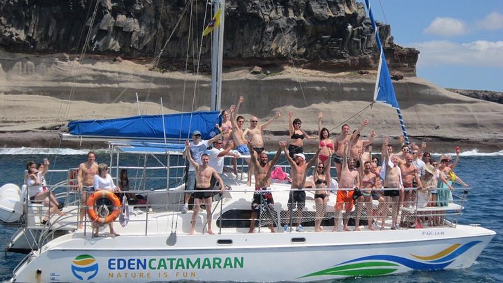 Tenerife Whale and Dolphin-Watching Catamaran Tour with Drinks