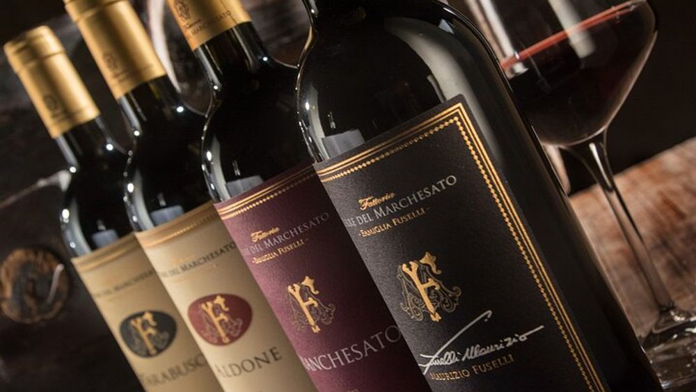 Bolgheri Premium Winery Tour and Tasting