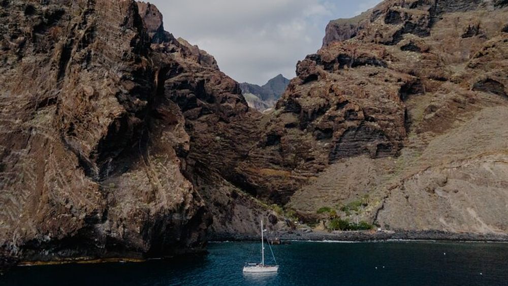 Small-group whale watching excursion in Tenerife
