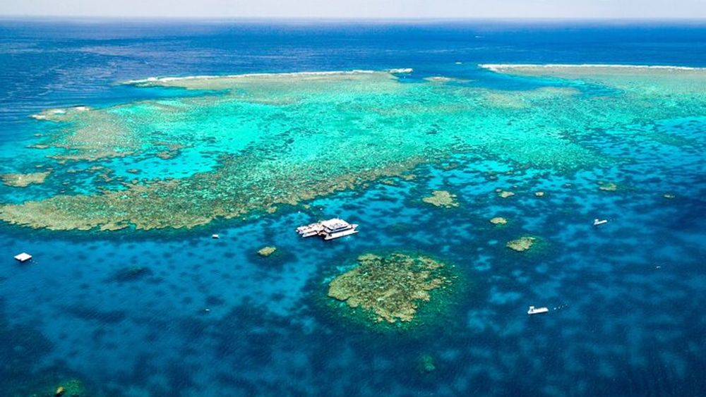 Port Douglas to Great Barrier Reef: Snorkel Tour with Lunch