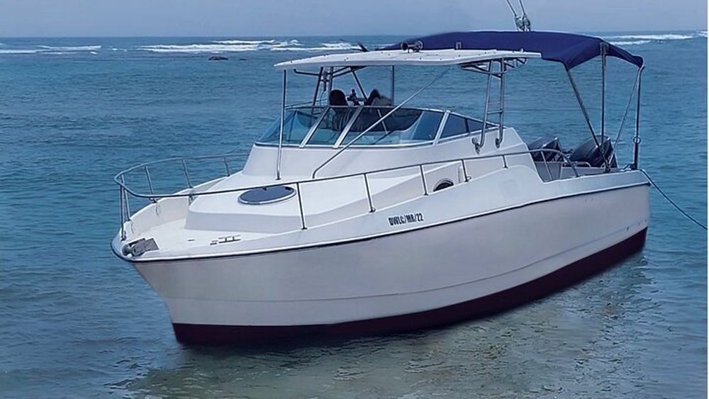 Sports Boat- Private Whale Watching Trip( free breakfast & paid pick-up)