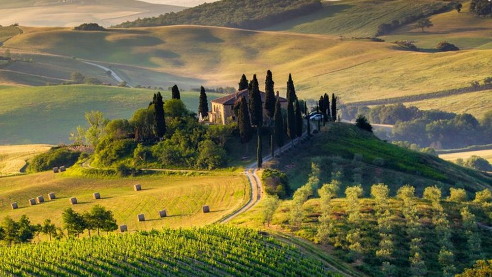 Siena, Pisa, and San Gimignano Tour with Lunch from Florence