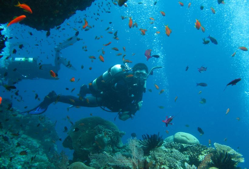 Scuba Dive Jew Shoal - triple dive