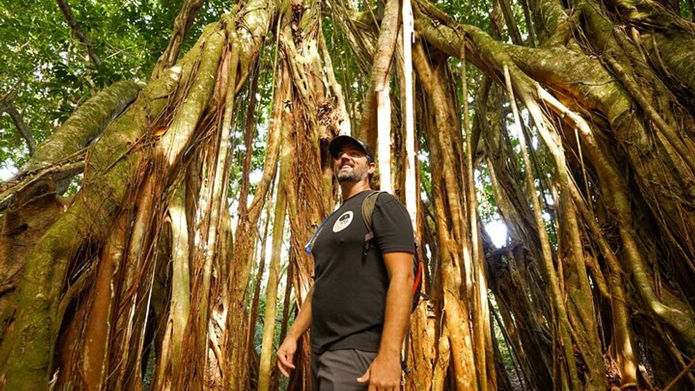Honolua Ridgeline and Puu Kukui Watershed Preserve Hiking Tour