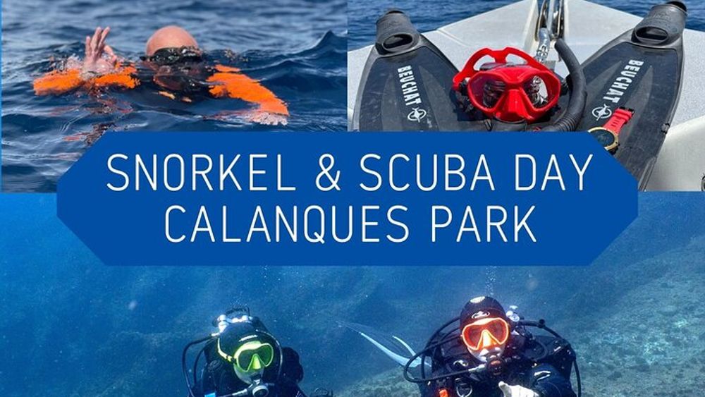 Calanques Full-Day Snorkeling and Dive Tour from Marseille