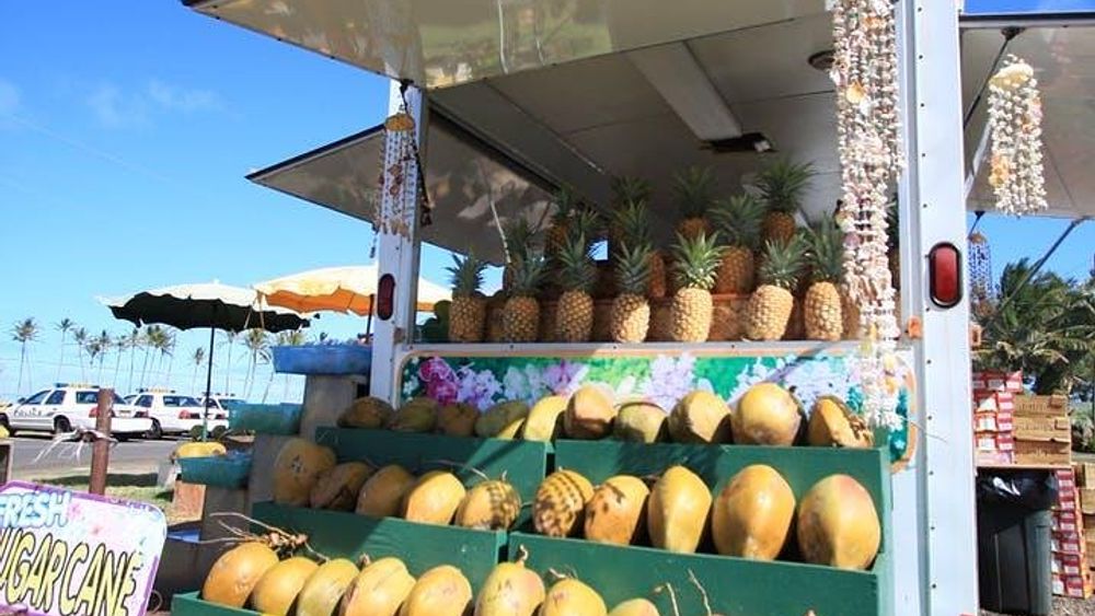 Kauai: Hawaii Movie Tours