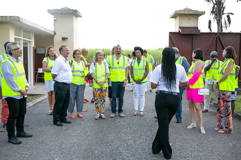 Worthy Park Estate Rum Tour from Ocho Rios