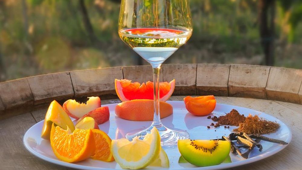 Wine Tour with Wine Tasting in Siena