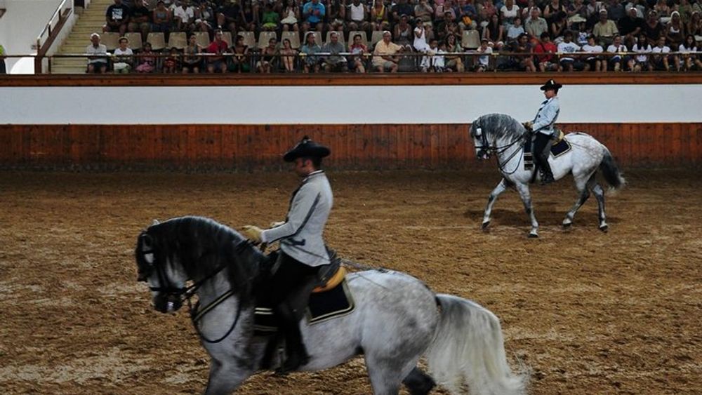 Jerez and Cadiz from Seville, with Horse Ballet