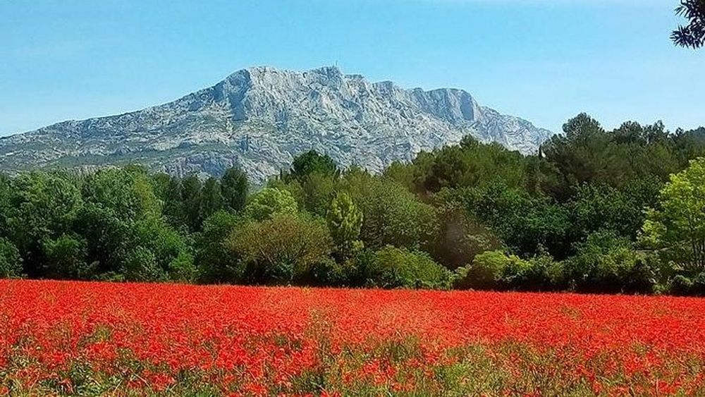 Cotes de Provence Wine Tour from Aix-en-Provence