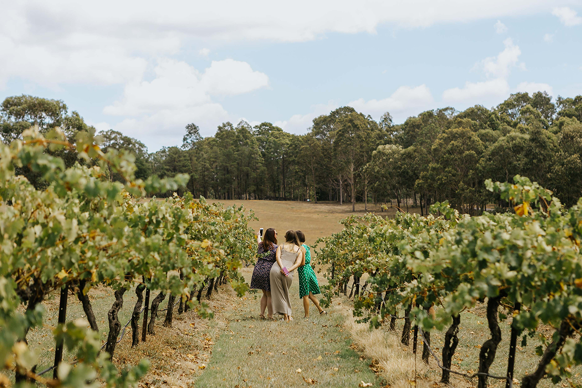 HOP 7 Wandin Estate (Full Day)